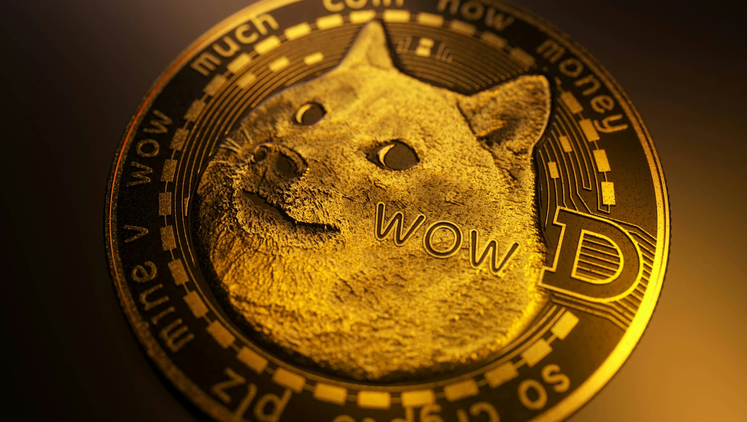 Wow at the benefits of gambling with Dogecoin